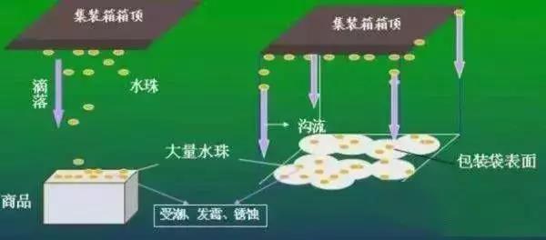 集裝箱里進(jìn)水，誰的錯？如何預(yù)防應(yīng)對？